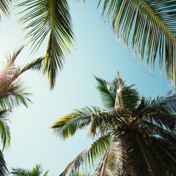 Meet Your Posher, Deal Shake - Picture 2 of 2